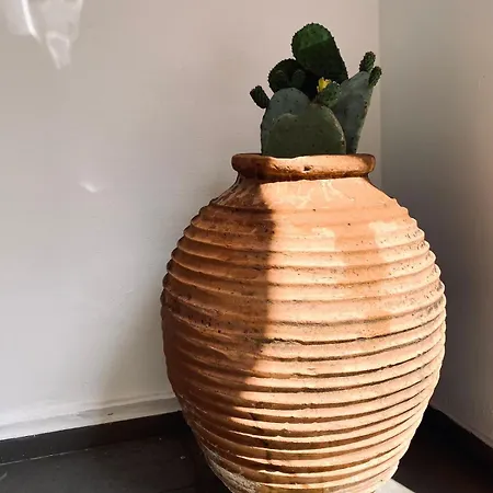 Casa En La Montana *