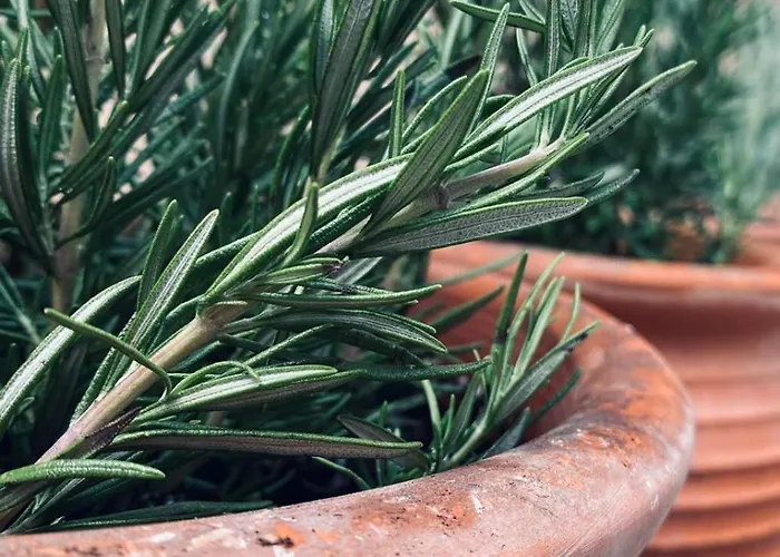 Nyaraló Casa En La Montana Kambitsata