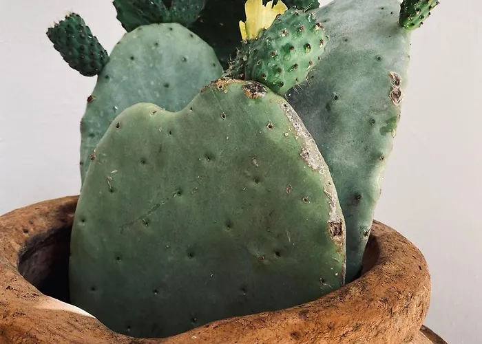 Casa En La Montana Casa de Férias